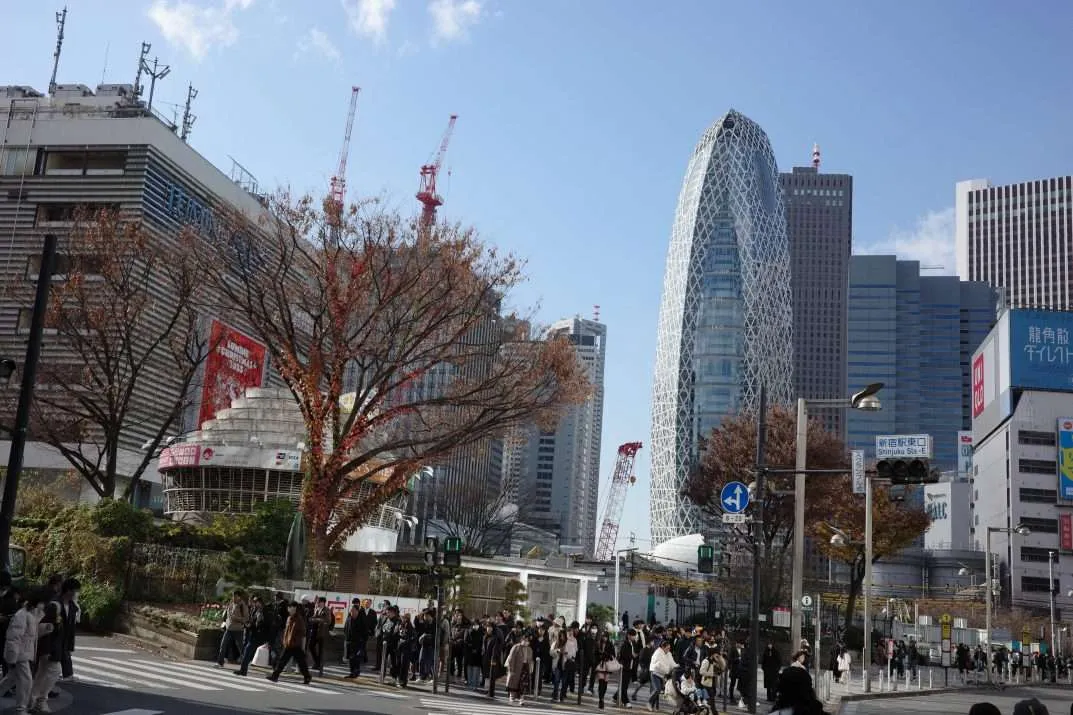 Синдзюку со стороны кота